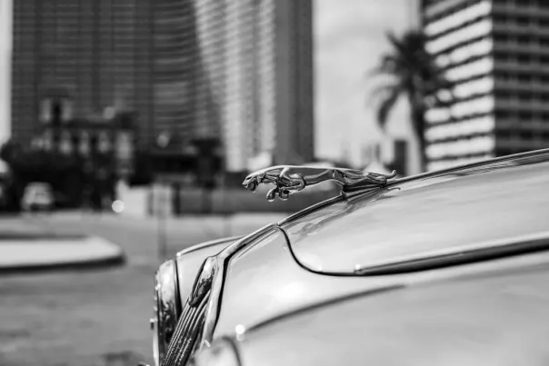 Wallacebet Kasino Android/iOS aplikace